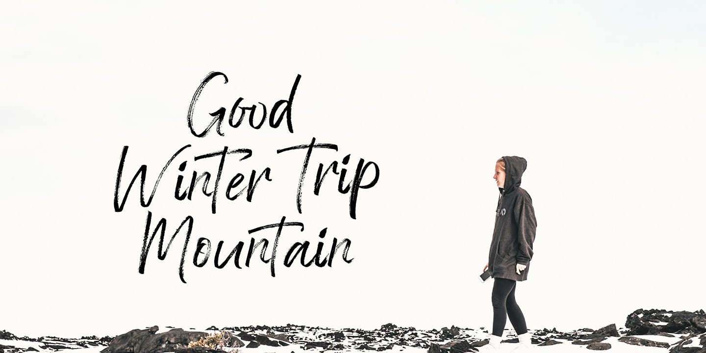 Hello Freshtea Brush